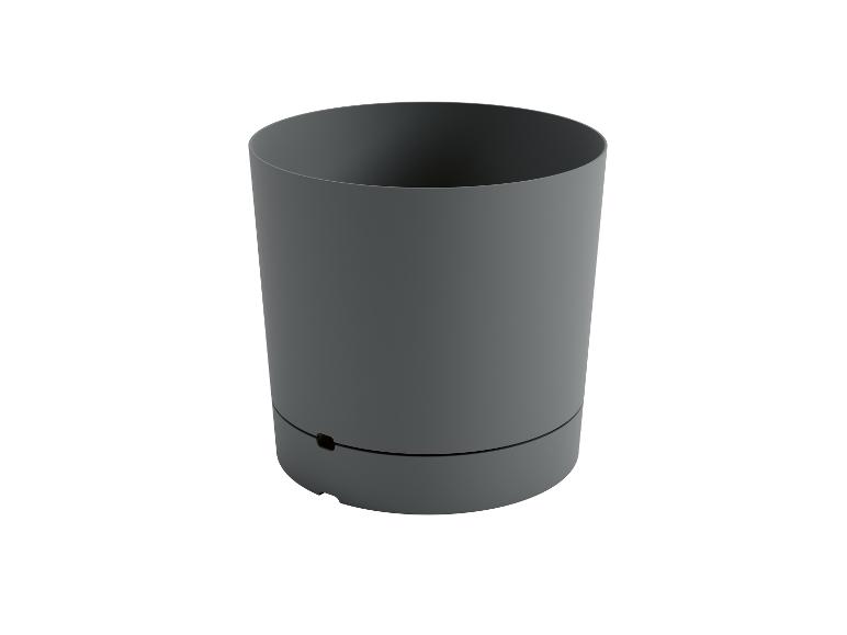 Ciemnoszara doniczka, minimalistyczny design.