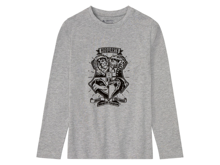 Pełny ekran: Koszulki chłopięce bawełniane z długim rękawem, z kolekcji Harry Potter, 2 sztuki - zdjęcie 3