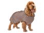 Cocker spaniel w brązowej kurtce dla psa z łapą i napisem
