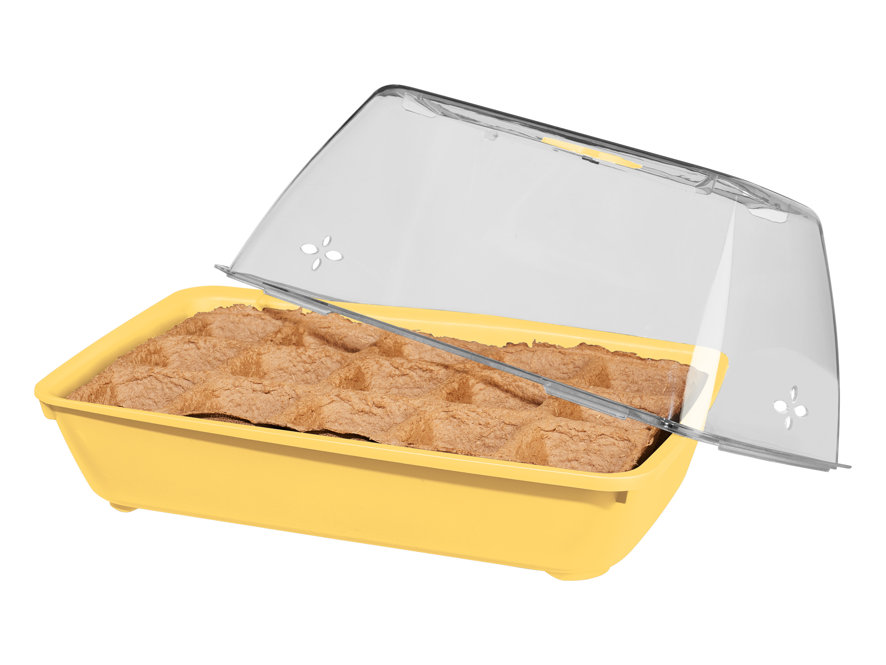 PARKSIDE® Miniszklarnia z nasionami bio (Kwiaty bio)