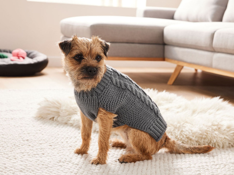 Pełny ekran: zoofari® Sweter dla psa, 1 szt. - zdjęcie 5