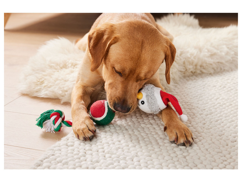 Pełny ekran: zoofari® Zabawka świąteczna dla psa lub kota, 1 lub 3 szt. - zdjęcie 4