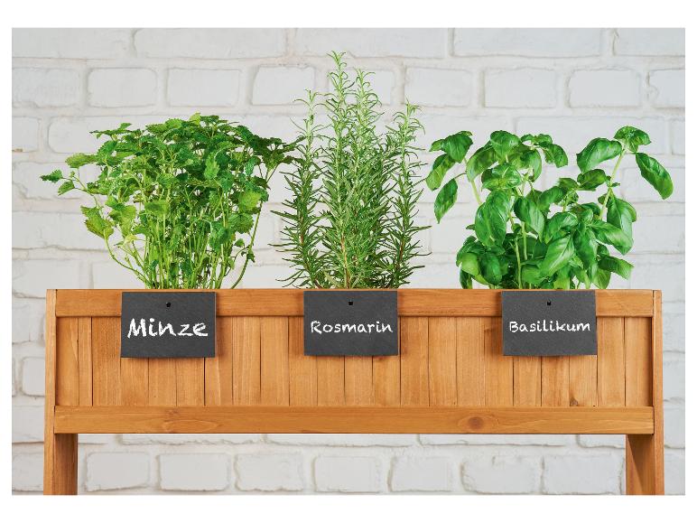 Mięta, rozmaryn i bazylia w drewnianej skrzyni.