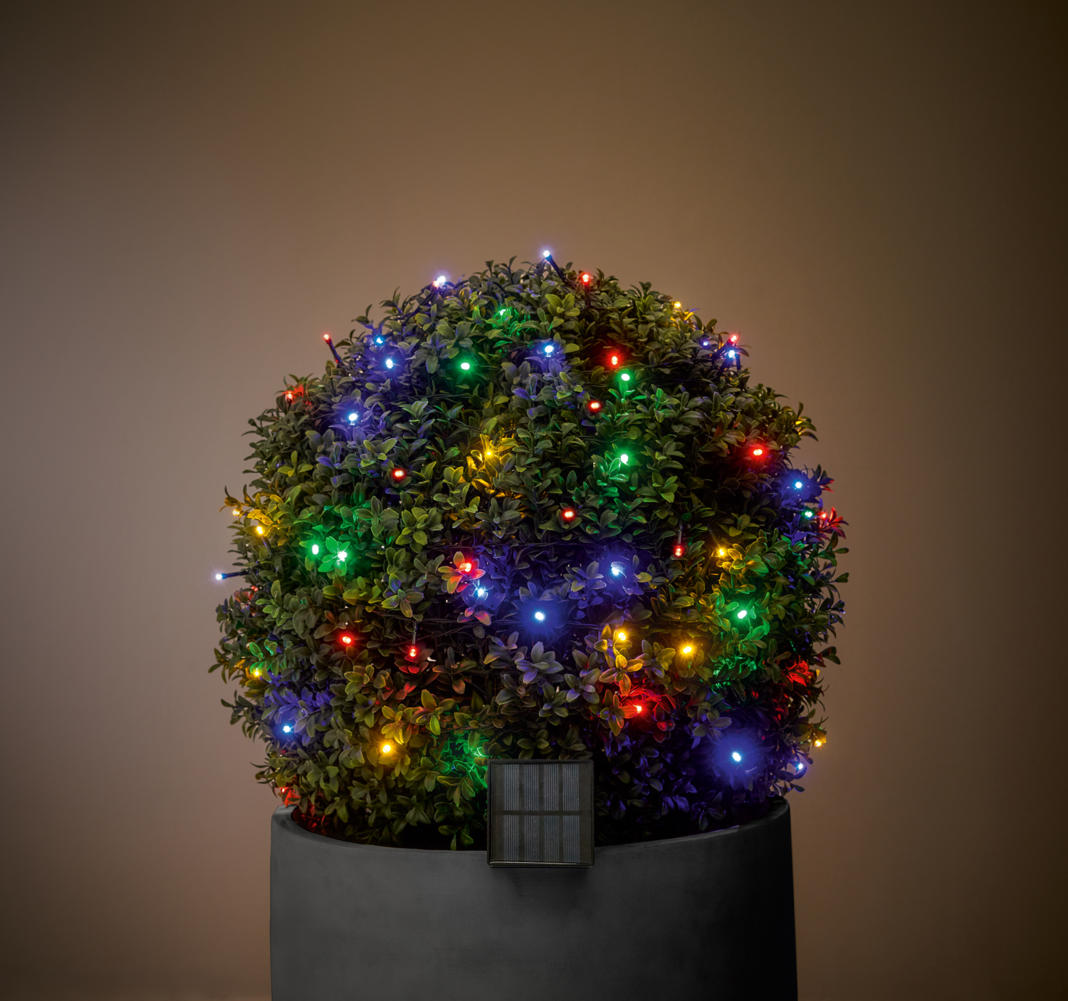 LIVARNO® Girlanda solarna LED (Kolorowy)