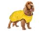 Pies rasy Cocker Spaniel w jaskrawożółtej wodoodpornej kurtce dla psa, stojący na białym tle