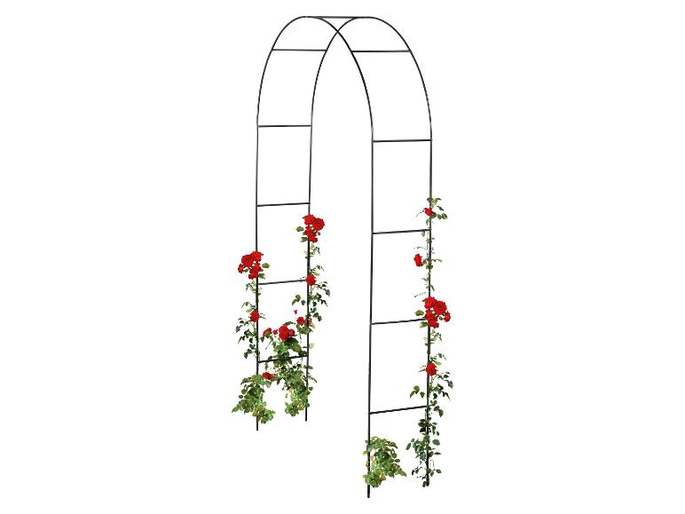 Rose arch / Garden obelisk