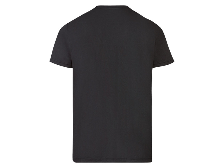 Pełny ekran: CRIVIT® T-shirt funkcyjny męski, odprowadzający wilgoć, 1 sztuka - zdjęcie 19