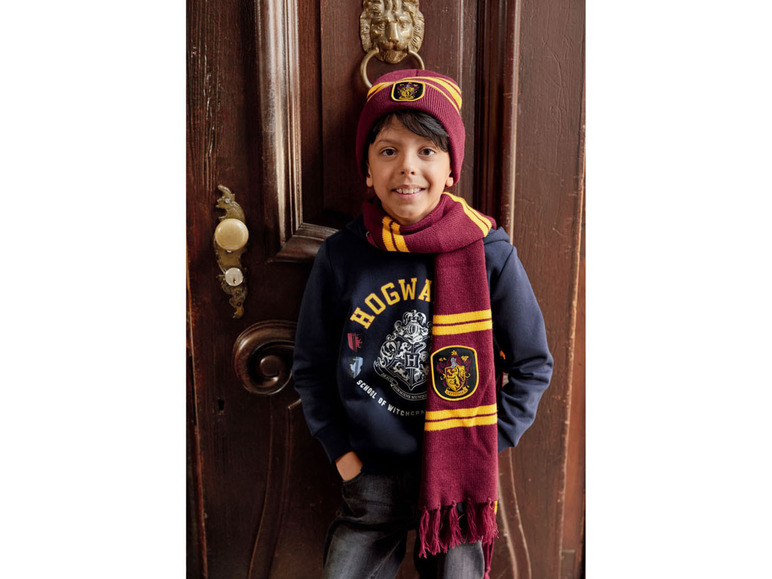 Pełny ekran: Bluza chłopięca z kolekcji Harry Potter, 1 sztuka - zdjęcie 6
