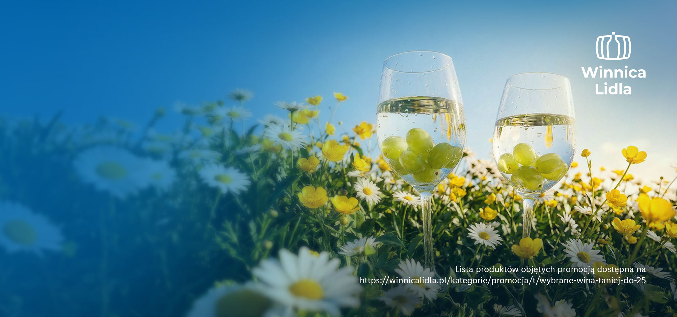 Dwa kieliszki wina z winogronami w tle kwitnącej łąki, z informacją o promocji.