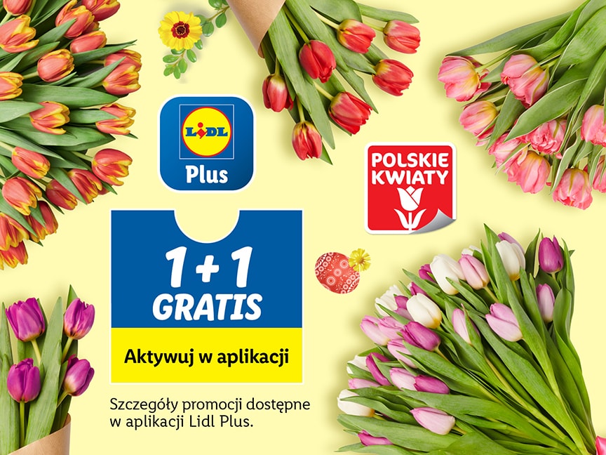 Wszystkie tulipany 1+1 gratis!