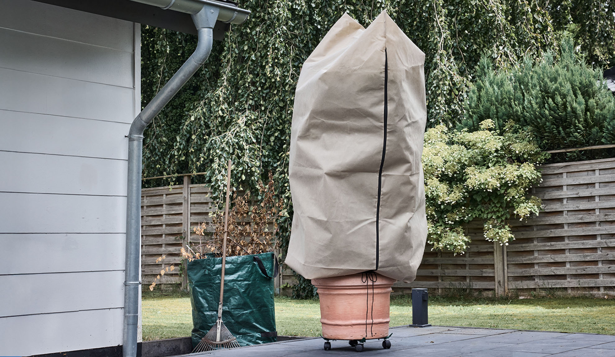 Pokrowiec na roślinę w doniczce na tarasie z rynną i grabiami.