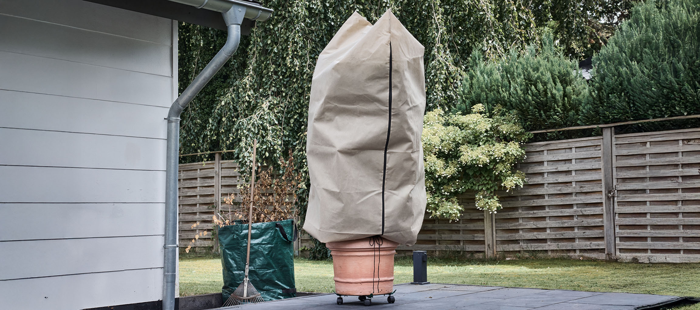 Roślina doniczkowa z pokrowcem zimowym na patio obok domu.