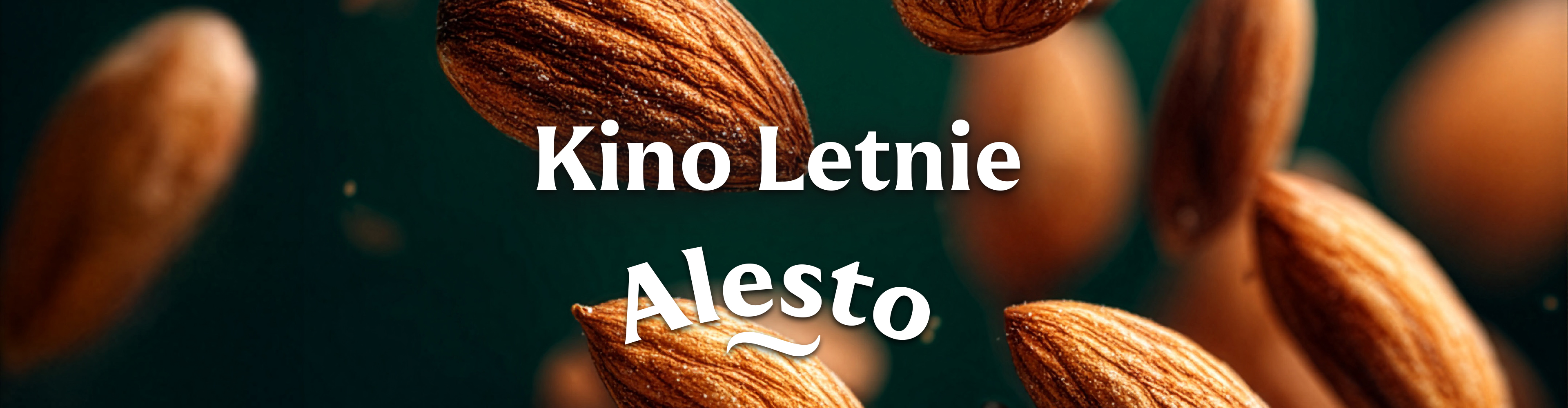 Kino Letnie Alesto