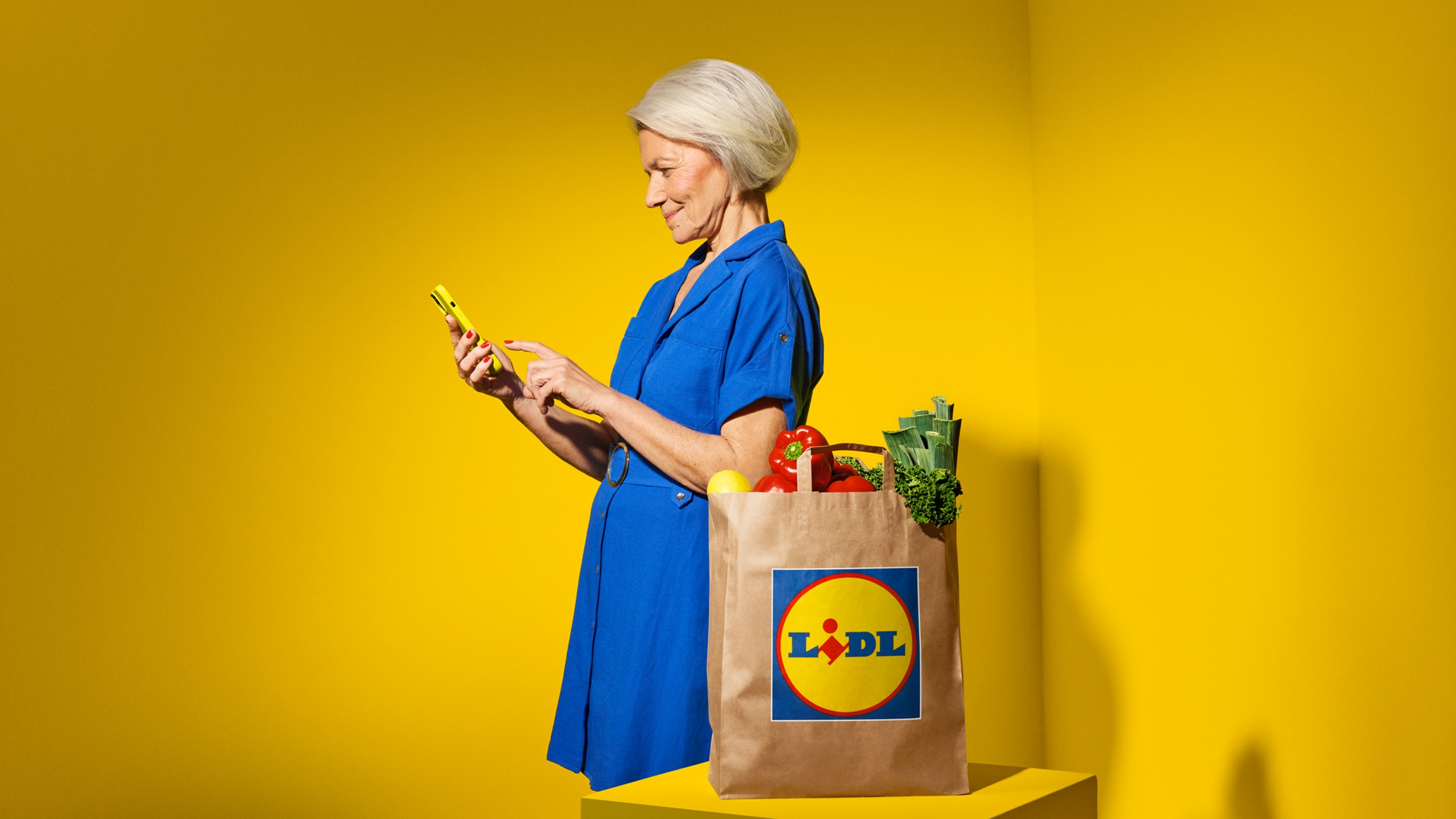 Kobieta w niebieskiej sukience używa telefonu, obok torba na zakupy z logo Lidl.